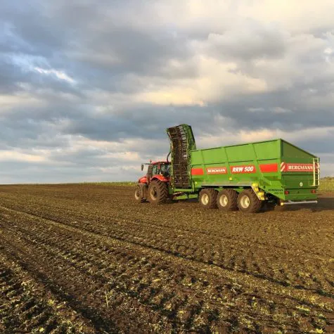 BERGMANN RRW [фото 2]