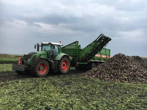 BERGMANN RRW [фото 5]