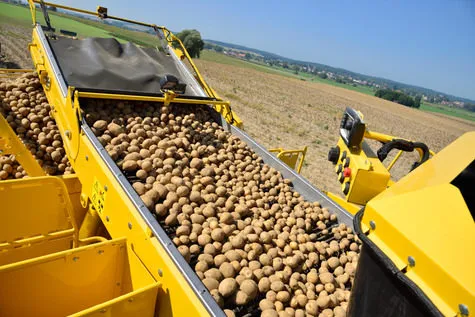 ROPA Keiler 2 [фото 5]