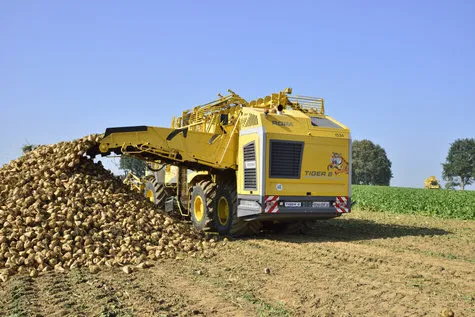 ROPA Tiger 6 [фото 12]