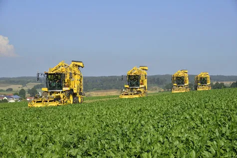 ROPA Tiger 6 [фото 13]