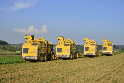 ROPA Tiger 6 [фото 14]