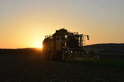 ROPA Tiger 6 [фото 15]