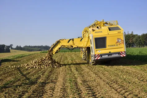 ROPA Tiger 6 [фото 16]