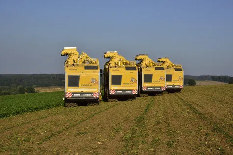 ROPA Tiger 6 [фото 19]