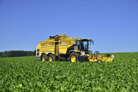 ROPA Tiger 6 [фото 2]