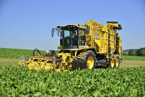 ROPA Tiger 6 [фото 3]