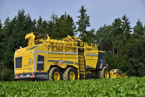 ROPA Tiger 6 [фото 6]