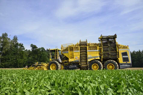 ROPA Tiger 6 [фото 7]