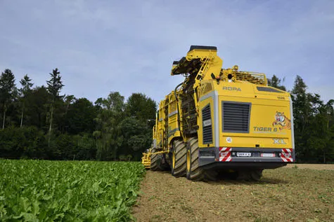 ROPA Tiger 6 [фото 8]