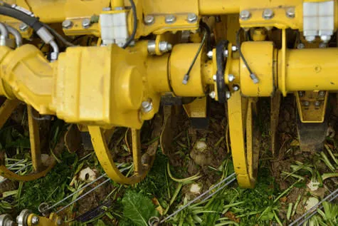 ROPA Tiger 6 [фото 9]