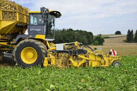 ROPA Tiger 6 [фото 10]