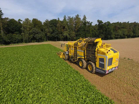 ROPA Tiger 6 [фото 11]