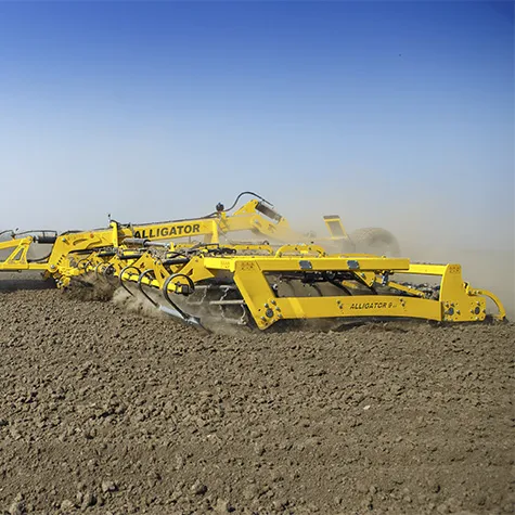 ALLIGATOR [фото 2]