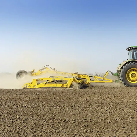 ALLIGATOR [фото 1]