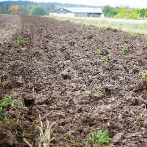 HORSCH Terrano GX [фото 14]