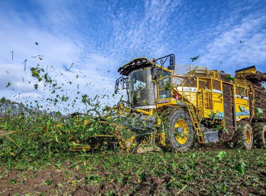 151294644_10158284481897635_4252264070550425177_o