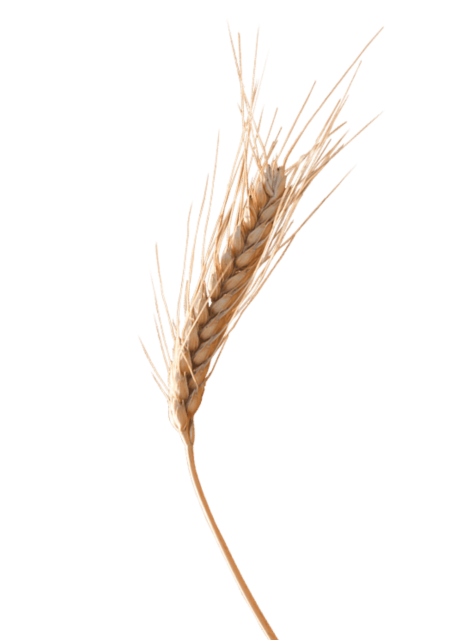 Дизайн без назви (3)